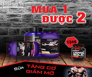Whey Protein tăng cơ tăng sức mạnh